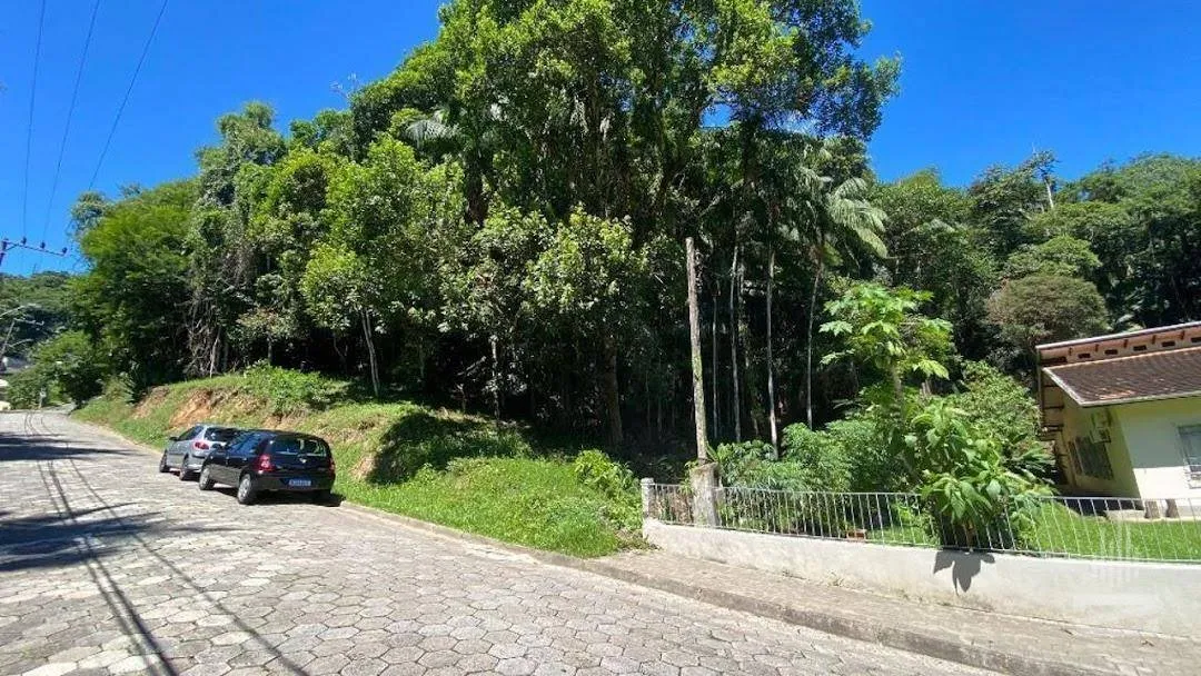 Terreno à venda, 3793 m por R$ 2.000.000,00 - Velha - Blumenau/SC — foto 4