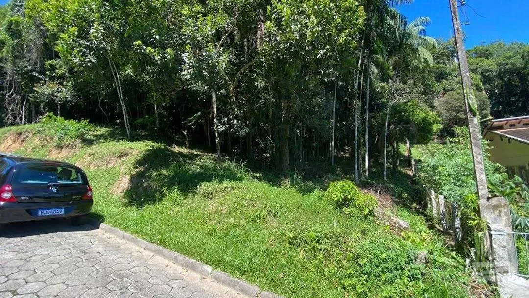 Terreno à venda, 3793 m por R$ 2.000.000,00 - Velha - Blumenau/SC — foto 5