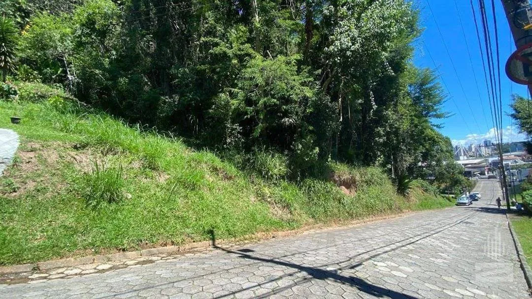 Terreno à venda, 3793 m por R$ 2.000.000,00 - Velha - Blumenau/SC — foto 7