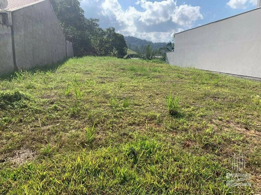 Terreno Residencial à venda, Belchior Central, Gaspar - TE0731. - foto 1