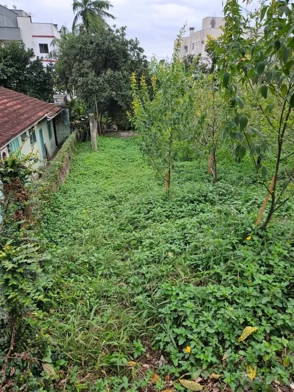 TERRENO no SAGUAÇÚ com 0 quartos para VENDA, 560 m - foto 1