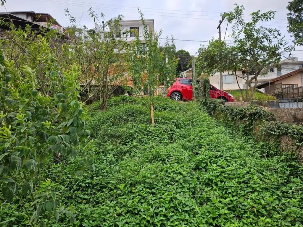 TERRENO no SAGUAÇÚ com 0 quartos para VENDA, 560 m — foto 4