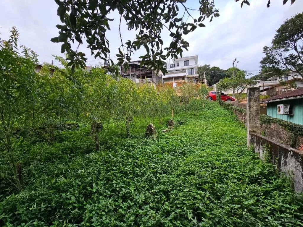 TERRENO no SAGUAÇÚ com 0 quartos para VENDA, 560 m — foto 7