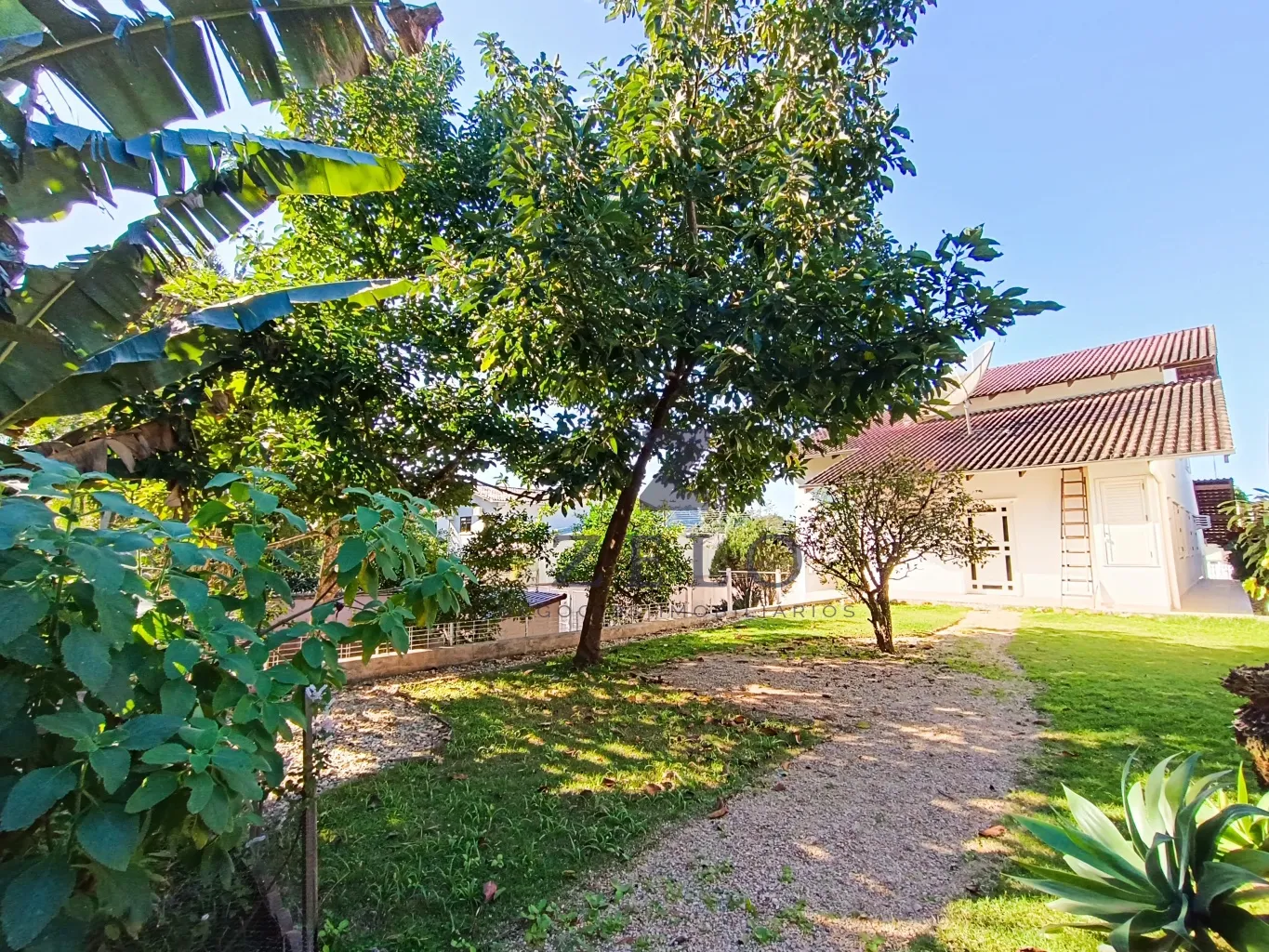 Excelente Casa Semimobiliada na transversal da Rua dos Caçadores - Bairro Velha — foto 3