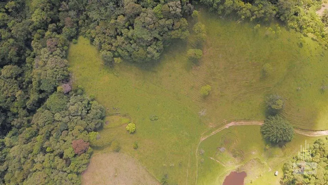 Sitio a venda no bairro Vila Itoupava em Blumenau — foto 5