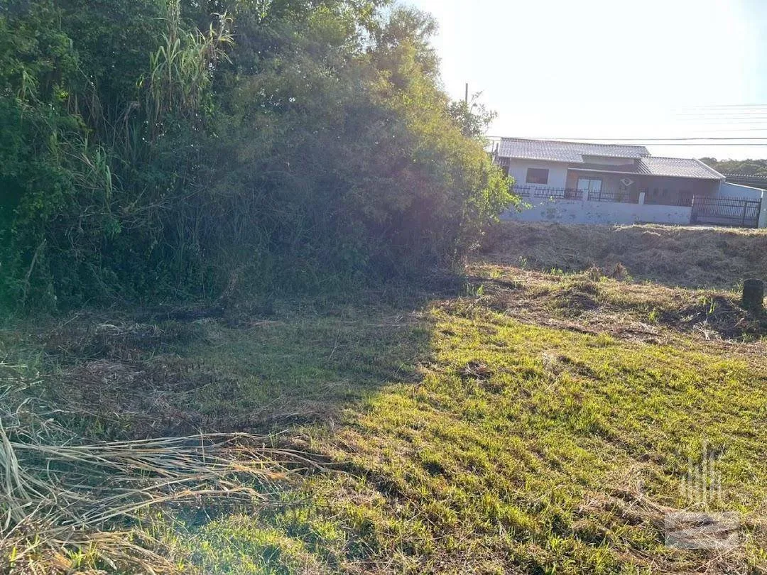 Terreno Residencial à venda, 678 m por R$ 375.000 - Fortaleza - Blumenau/SC - foto 1