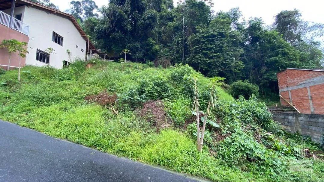 Terreno Residencial à venda, Velha Central, Blumenau - TE0499. - foto 1