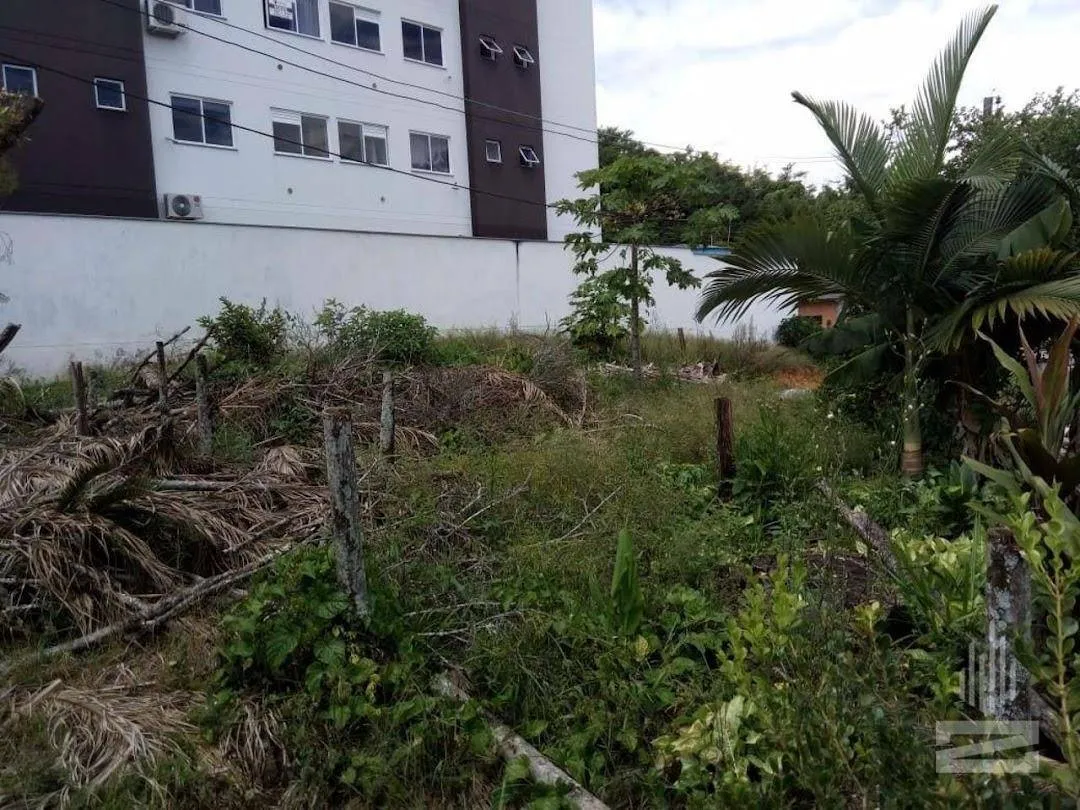 Terreno Comercial à venda, 1539 m por R$ 2.000.000 - Salto do Norte - Blumenau/SC — foto 4