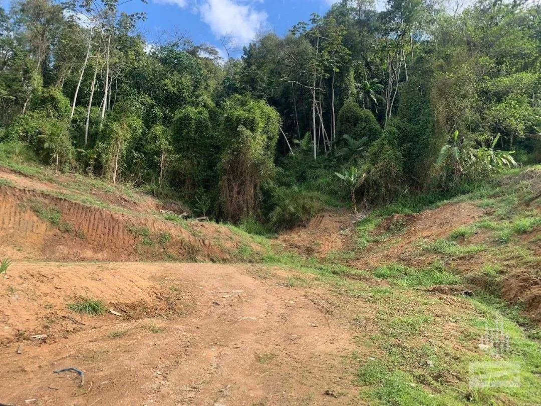 Terreno Comercial à venda, 7343 m por R$ 620.000 - Velha - Blumenau/SC - foto 1