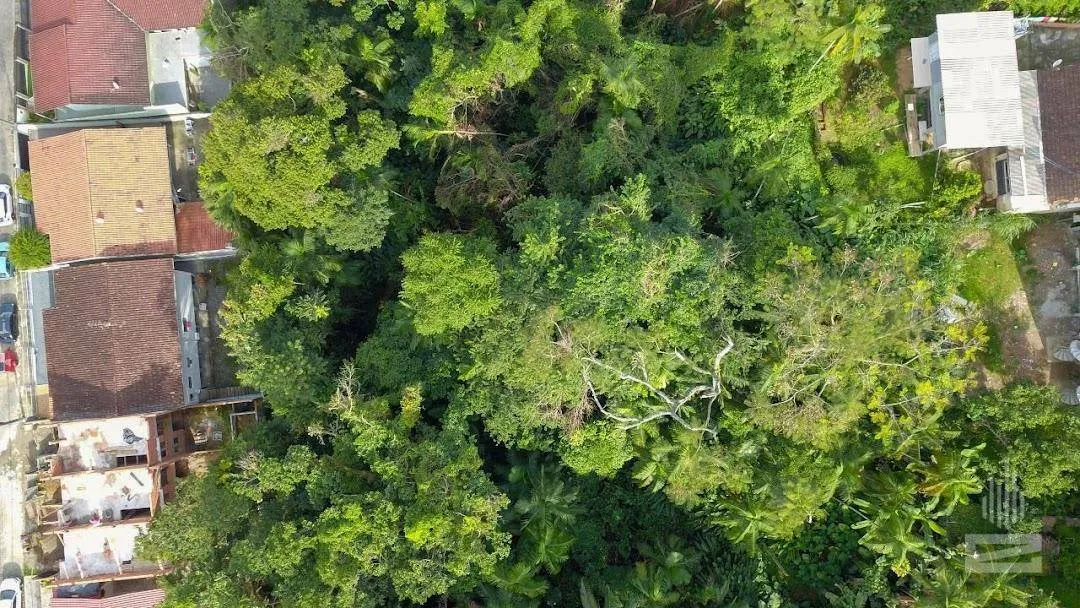 Terreno à venda, 1625 m por R$ 830.000,00 - Água Verde - Blumenau/SC — foto 4