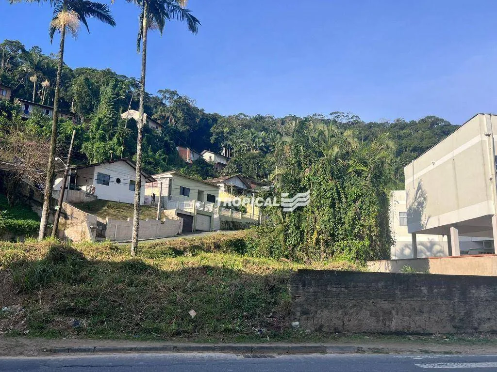 Terreno para alugar, 420 m por R$ 2.522,64/ano - Ribeirão Fresco - Blumenau/SC - foto 1