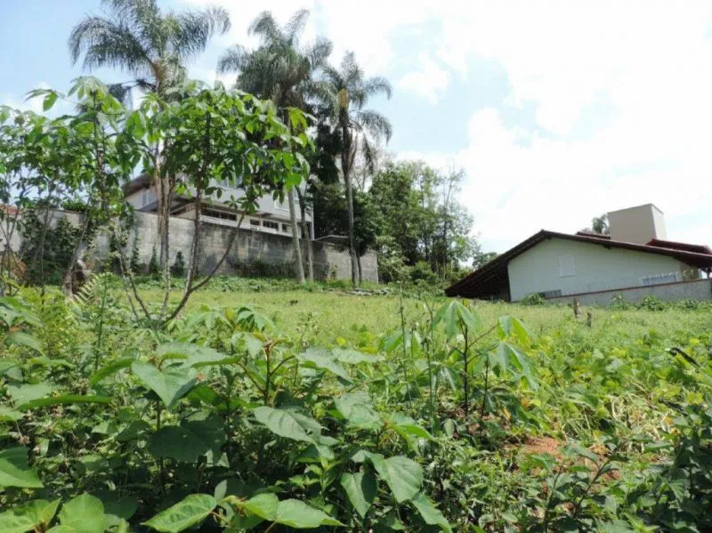 Terreno em localização privilegiada, você encontra aqui na Germânia!!! — foto 3
