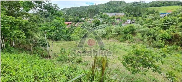 TERRENO — foto 3