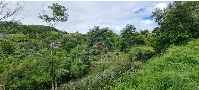 TERRENO — foto 5