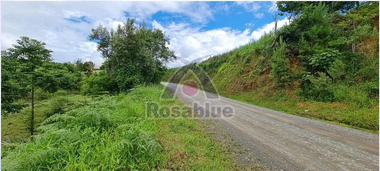 TERRENO — foto 6