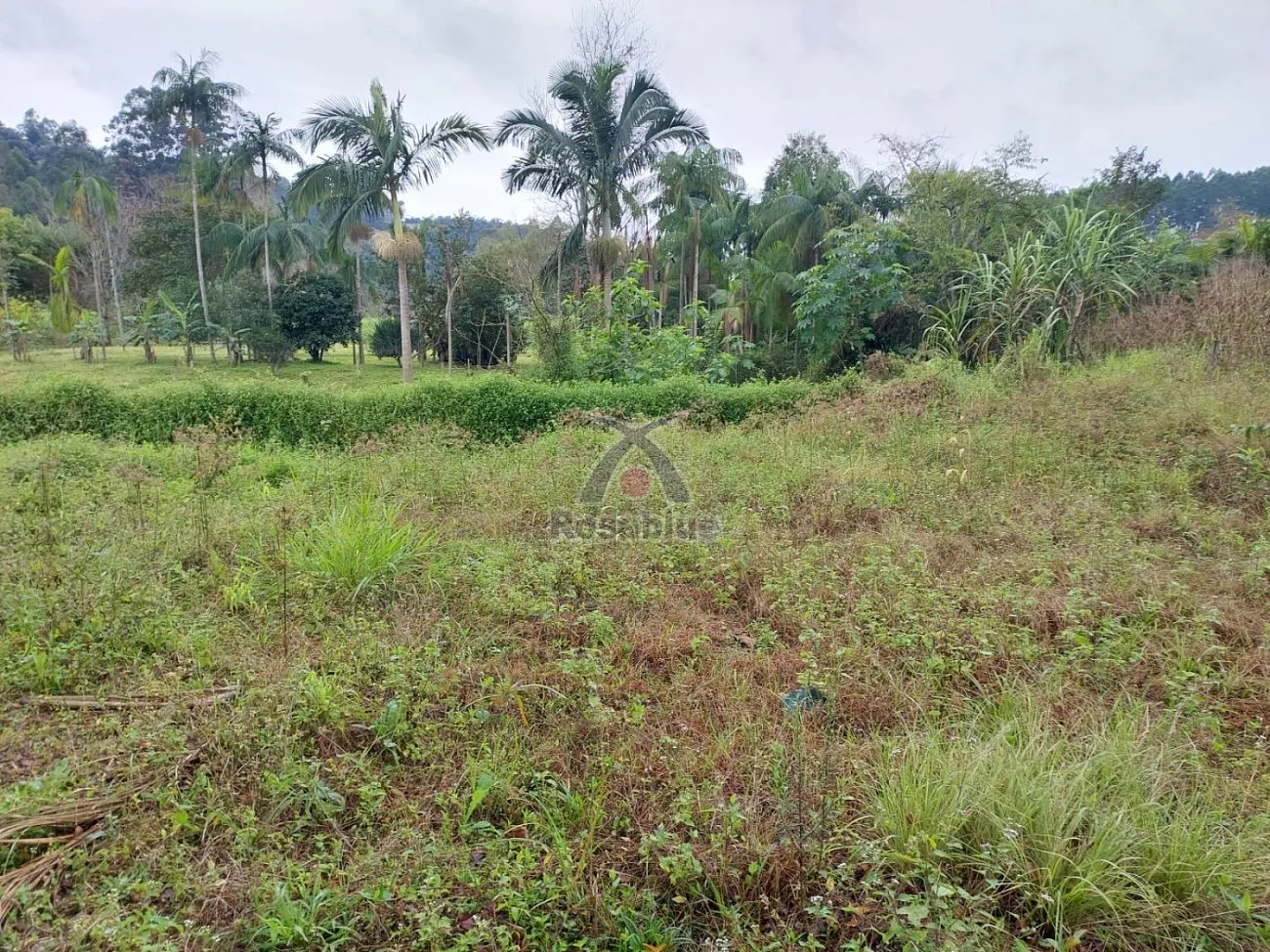Terreno Rio Ferro — foto 5
