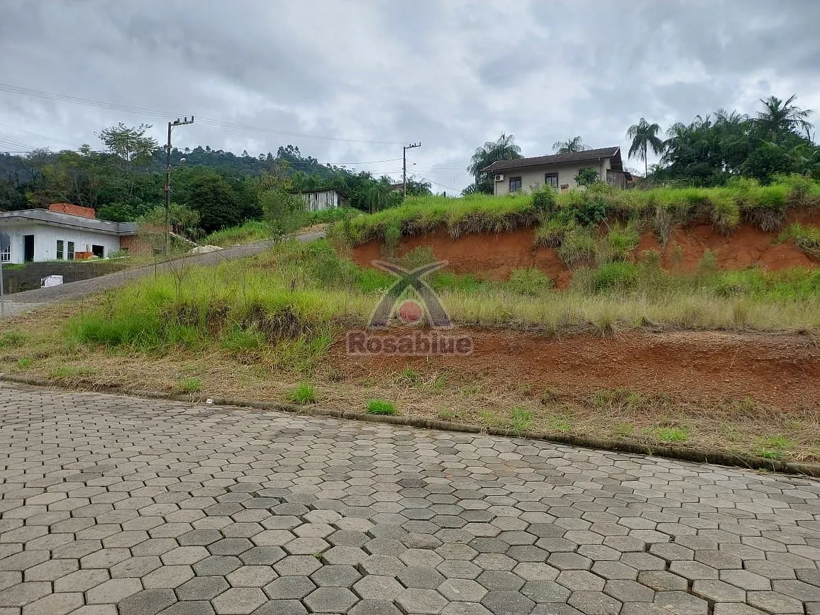 Terreno Lot. Divisa - foto 1