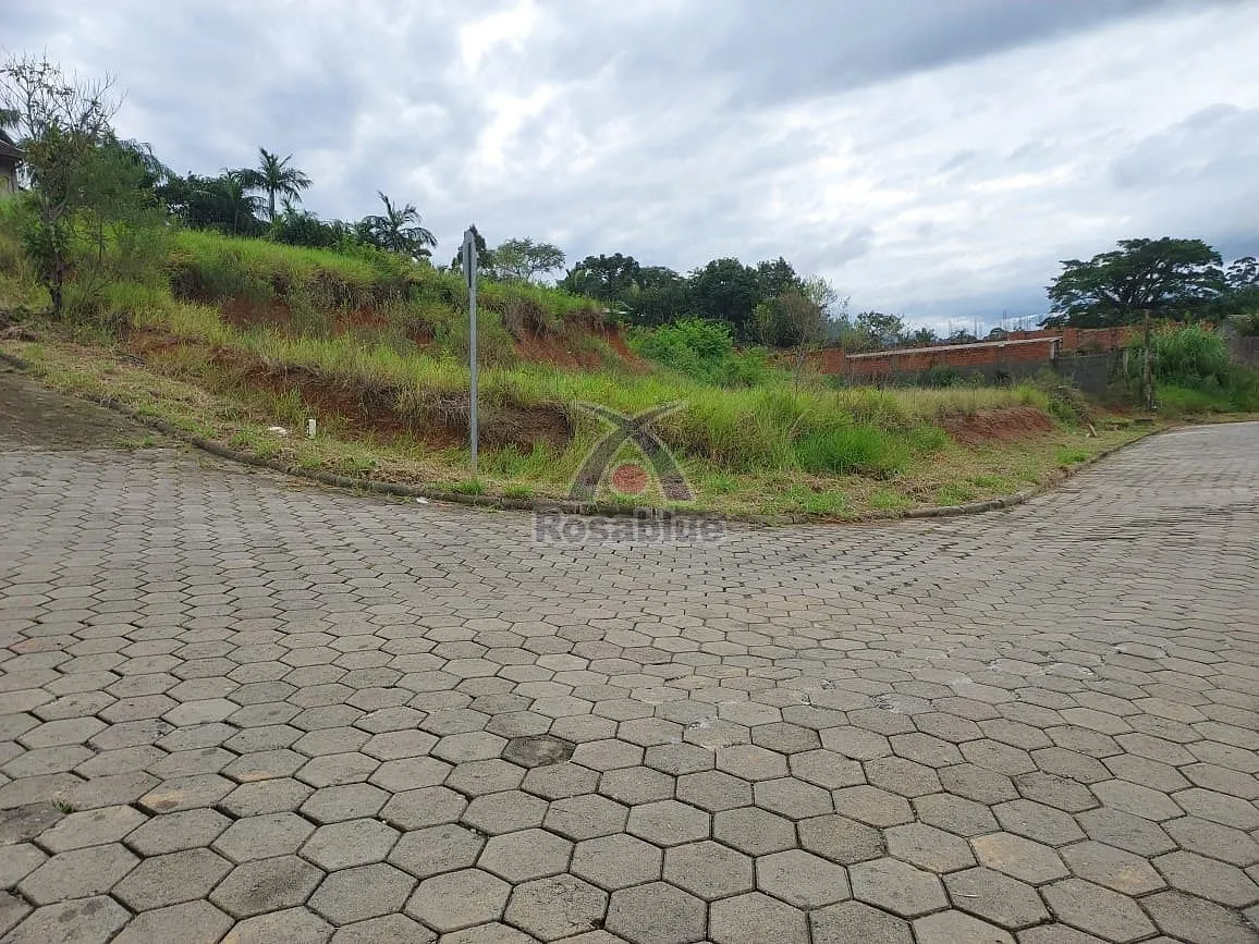 Terreno Lot. Divisa — foto 3