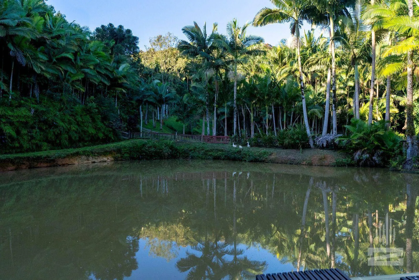 Lindo Sítio a Venda com 38mil m em Pomerode — foto 4