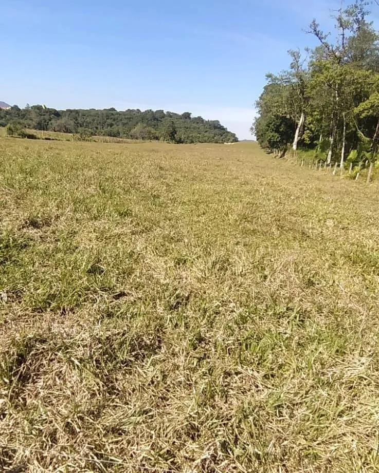 VENDO TERRENO — foto 2