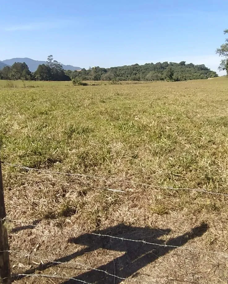 VENDO TERRENO — foto 4