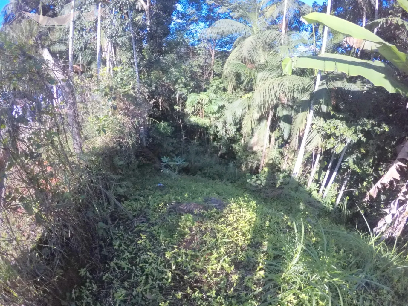 Terreno Bairro Itoupava Central - Blumenau/SC Ref. 1325 — foto 6