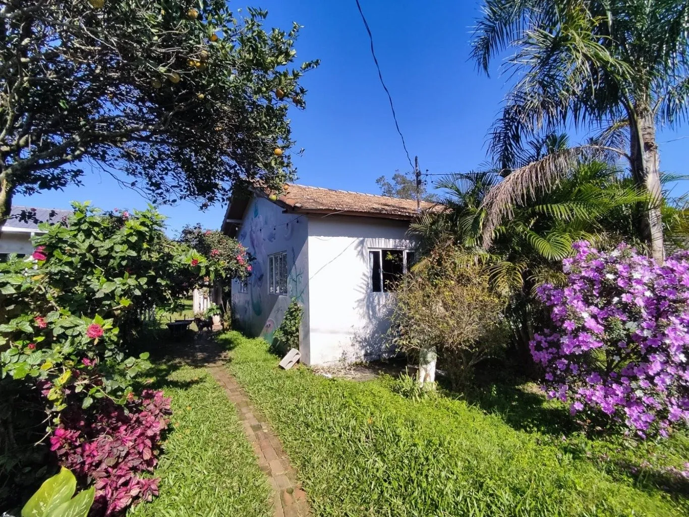 Imóvel - foto 1