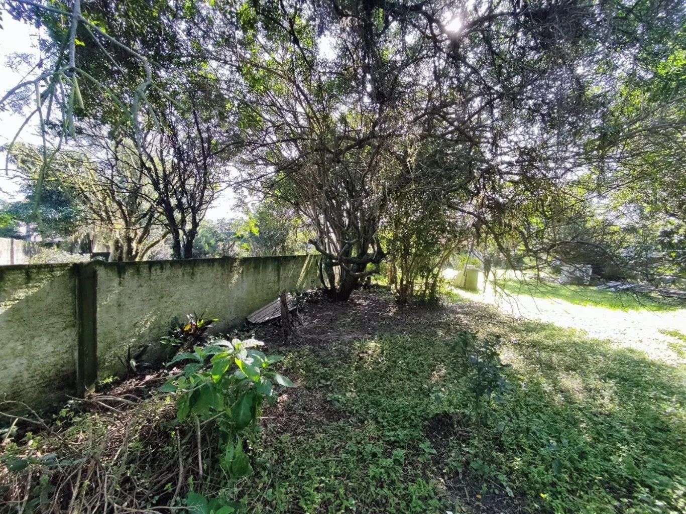 Imóvel — foto 7
