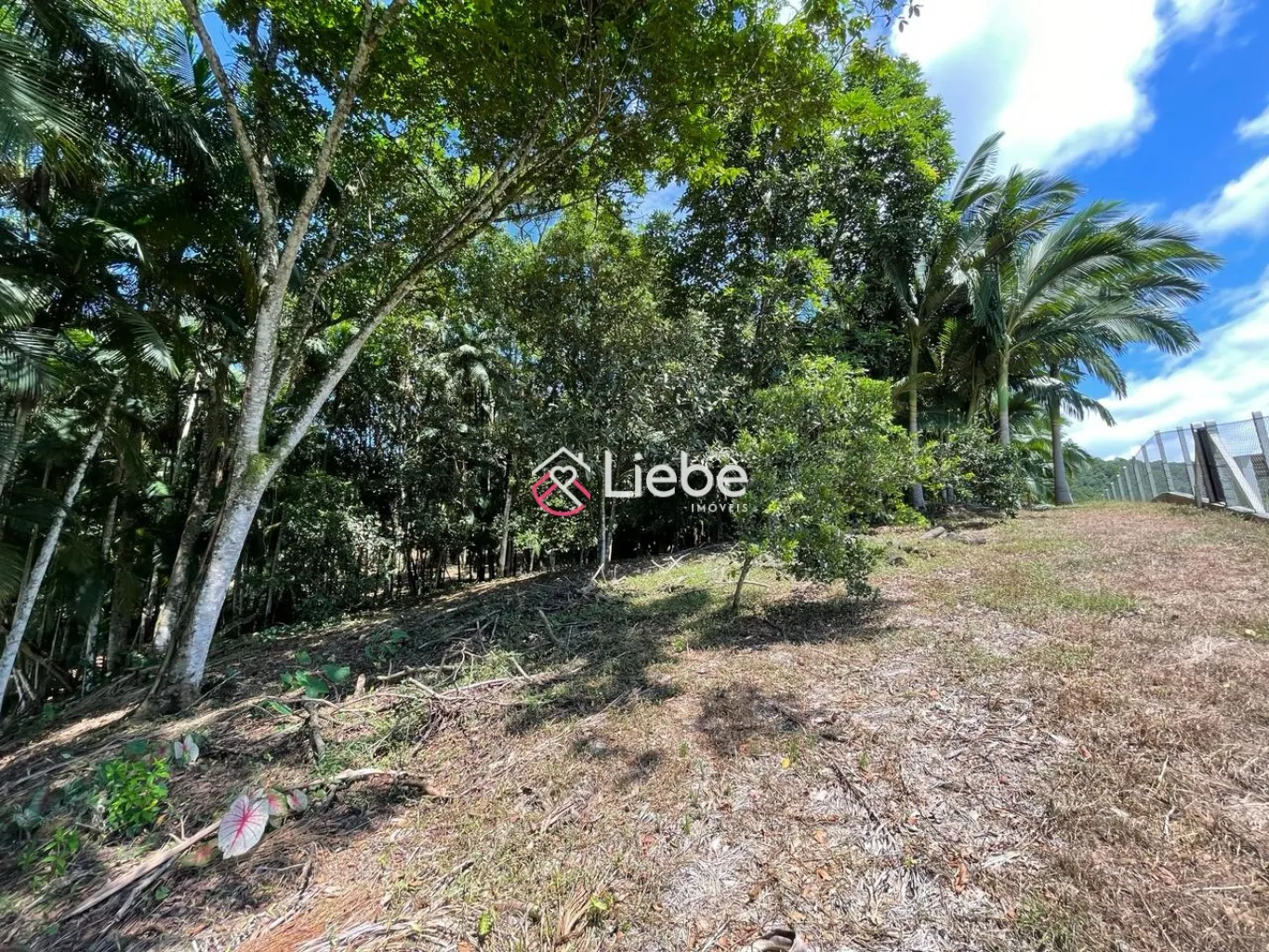 Excelente Terreno/Sítio localizado em Pomerode no Bairro Pomerode Fundos com 10.721,94m. — foto 3