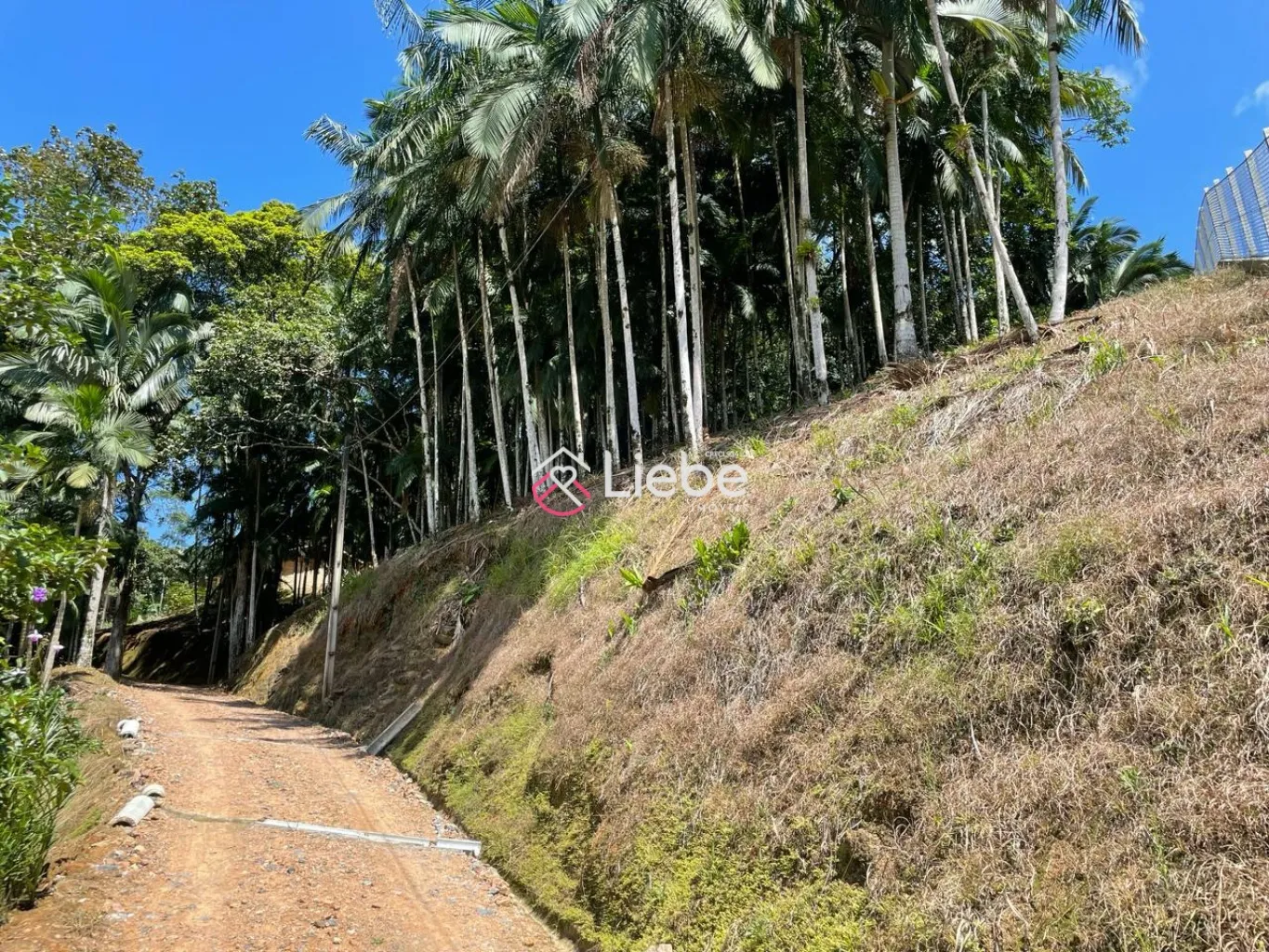 Excelente Terreno/Sítio localizado em Pomerode no Bairro Pomerode Fundos com 10.721,94m. — foto 4