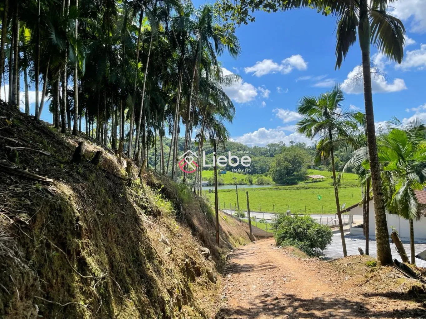 Excelente Terreno/Sítio localizado em Pomerode no Bairro Pomerode Fundos com 10.721,94m. — foto 5