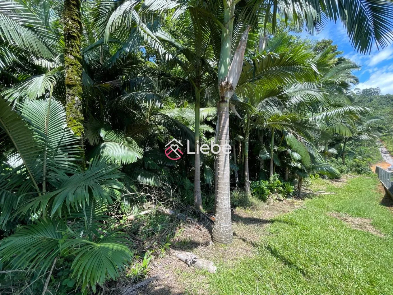 Excelente Terreno/Sítio localizado em Pomerode no Bairro Pomerode Fundos com 10.721,94m. — foto 7