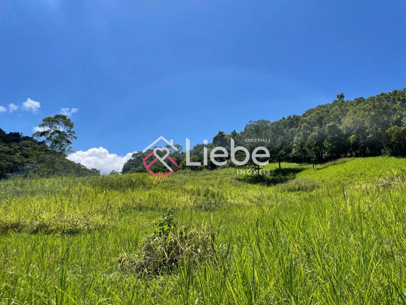 Terreno único e exclusivo no Bairro Ribeirão Herdt na cidade de Pomerode com 3.383,14m, fazendo frente em 25,00 metros. — foto 3