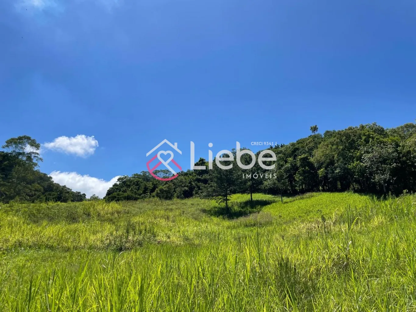 Terreno único e exclusivo no Bairro Ribeirão Herdt na cidade de Pomerode com 3.383,14m, fazendo frente em 25,00 metros. — foto 4