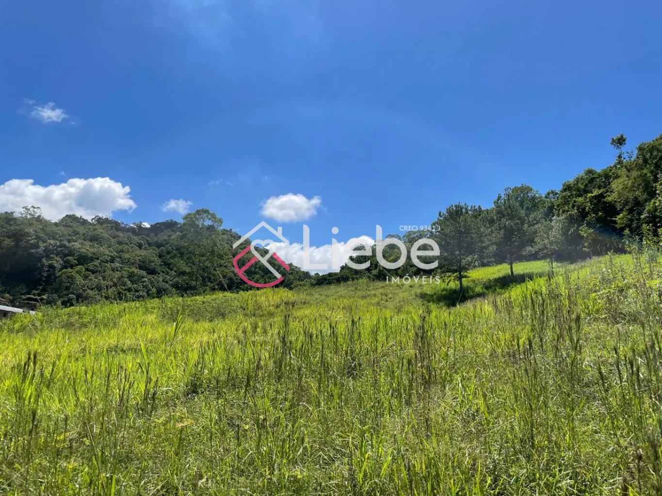 Terreno único e exclusivo no Bairro Ribeirão Herdt na cidade de Pomerode com 3.383,14m, fazendo frente em 25,00 metros. — foto 5