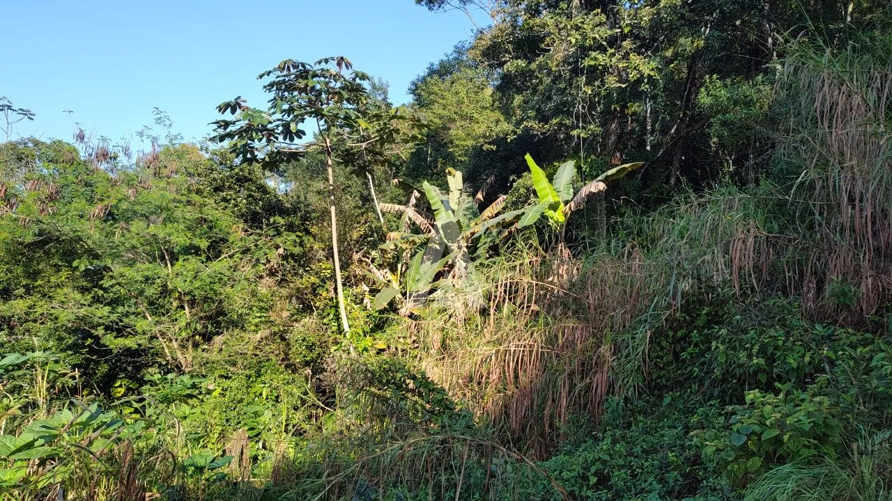 Terreno à venda no bairro Costa E Silva em Joinville, por R$ 2.700.000.00. — foto 7