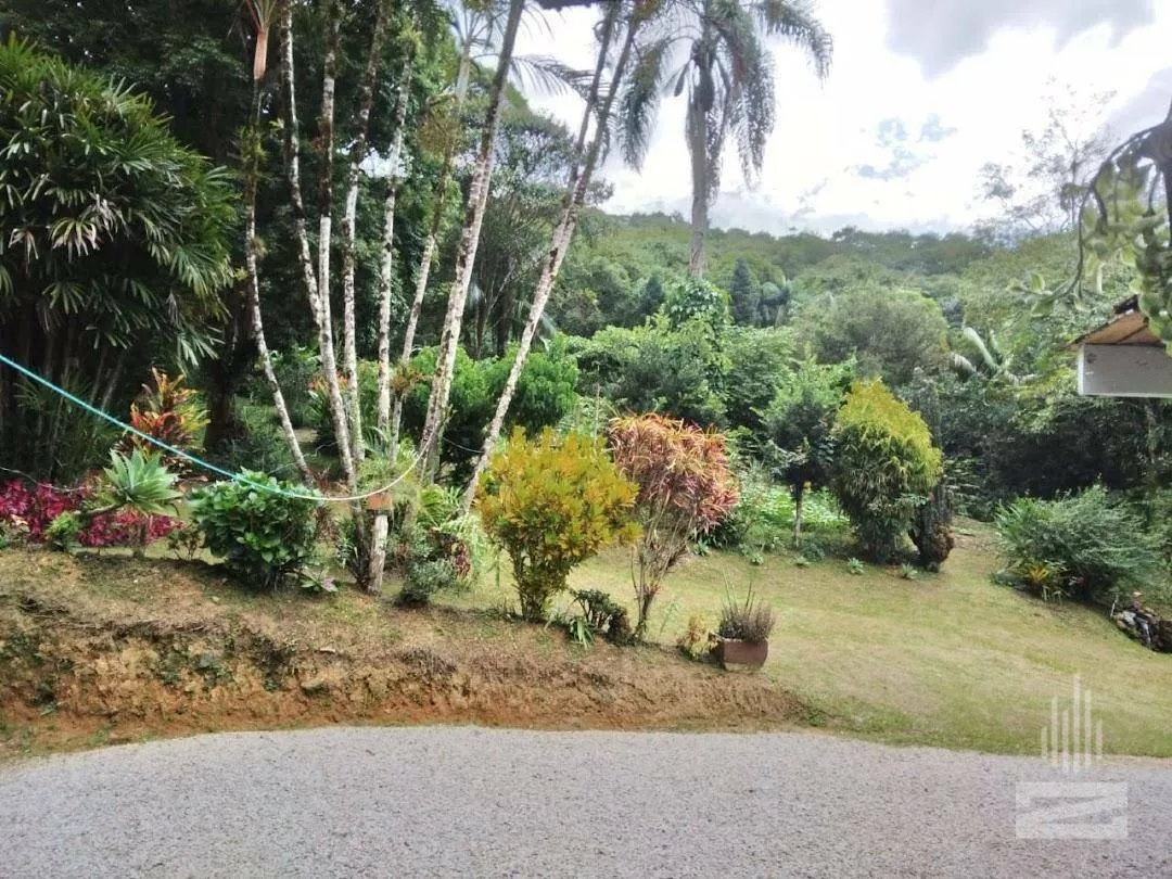 Sítio a venda com 33 mil m no bairro Nova Rússia em Blumenau — foto 3