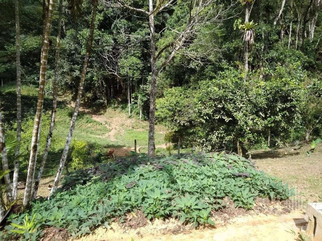 Sítio a venda com 33 mil m no bairro Nova Rússia em Blumenau — foto 7