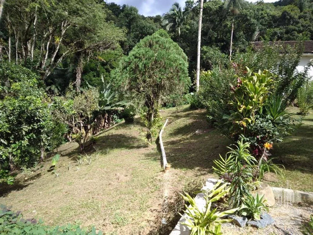 Sítio a venda com 33 mil m no bairro Nova Rússia em Blumenau — foto 4