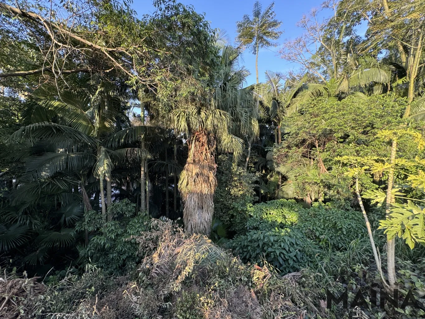 Oportunidade Exclusiva para Construção Residencial de Alto Padrão — foto 5