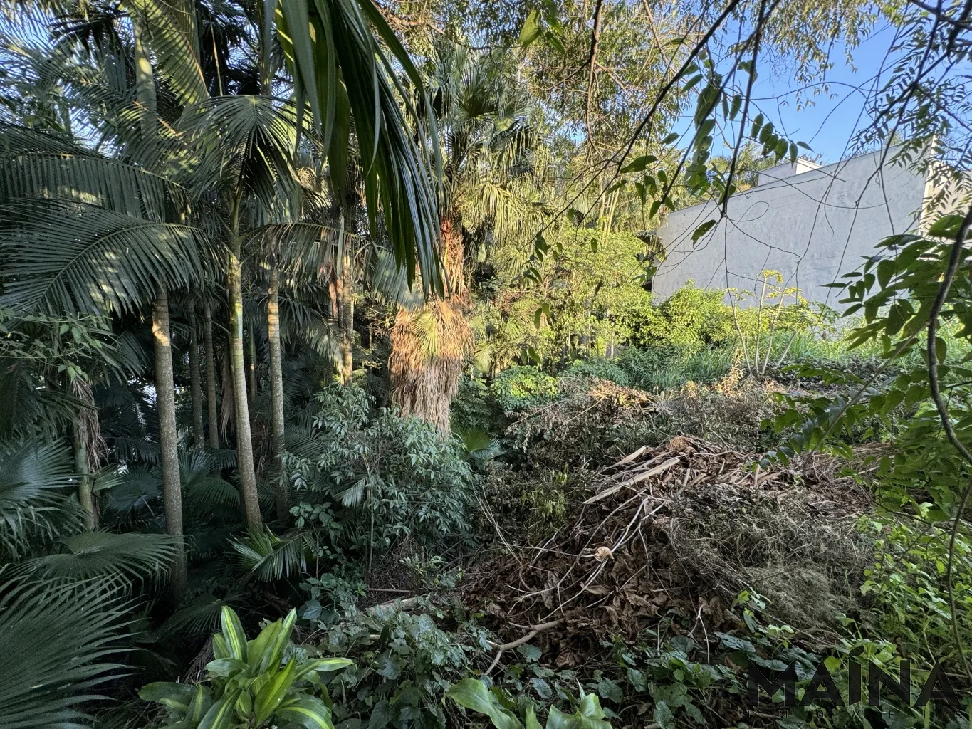 Oportunidade Exclusiva para Construção Residencial de Alto Padrão — foto 6