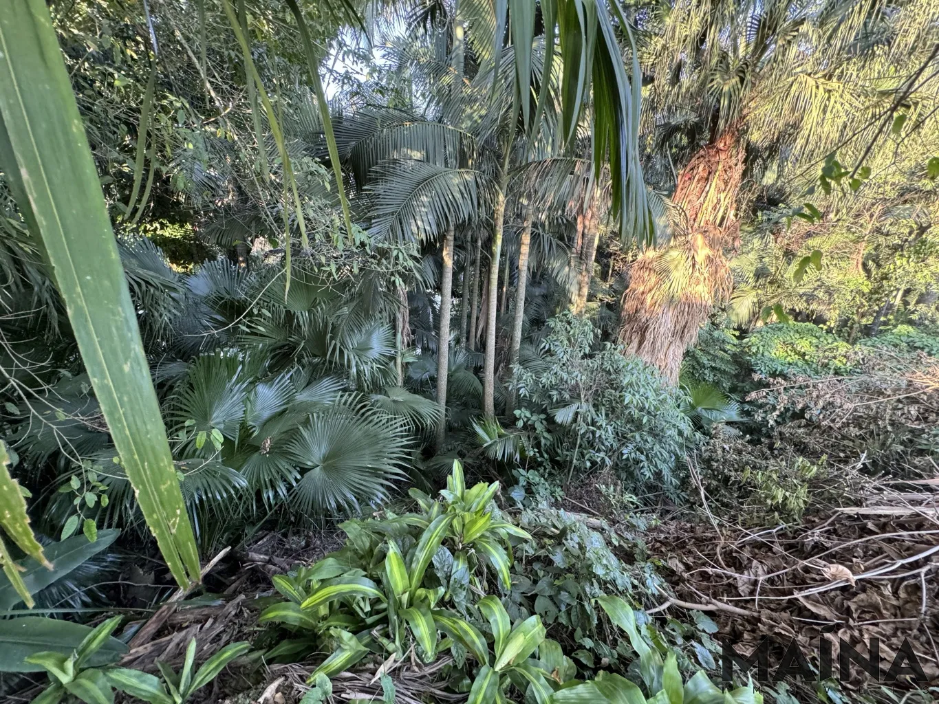 Oportunidade Exclusiva para Construção Residencial de Alto Padrão — foto 7