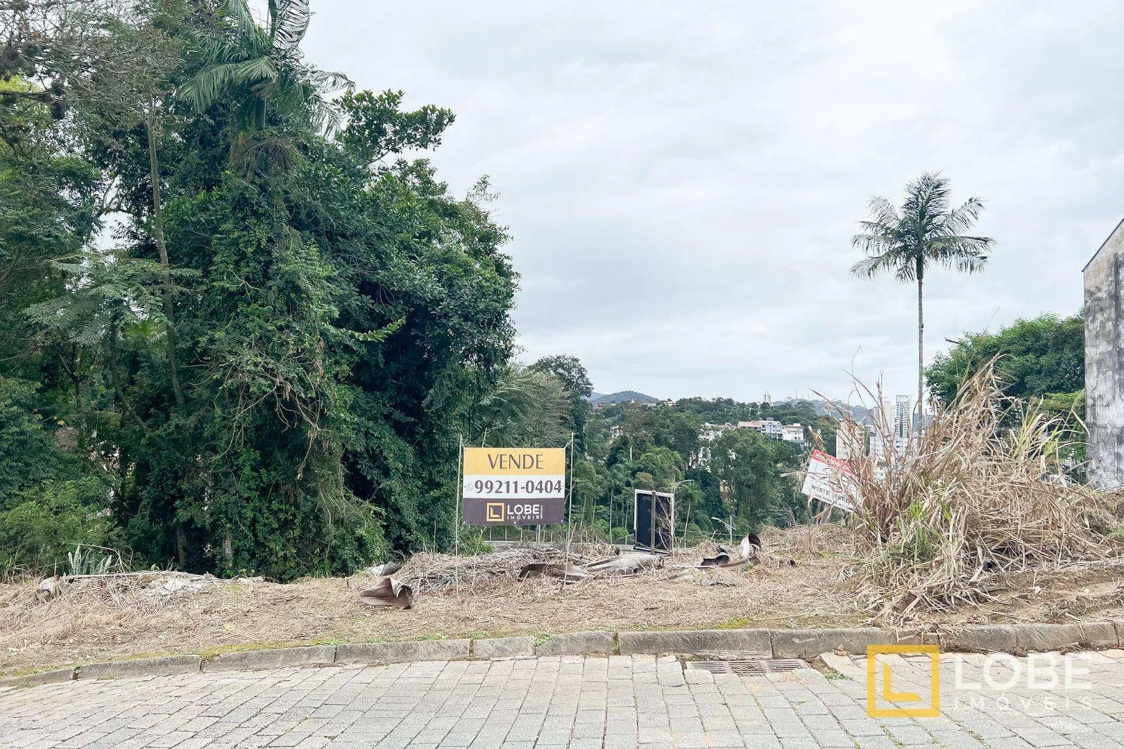 Terreno à venda, 546 m por R$ 550.000,00 - Velha - Blumenau/SC - foto 1