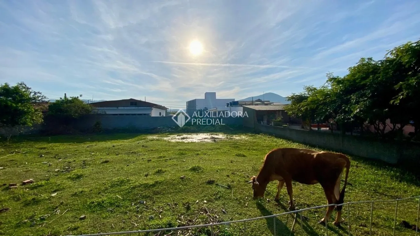 Imóvel — foto 3