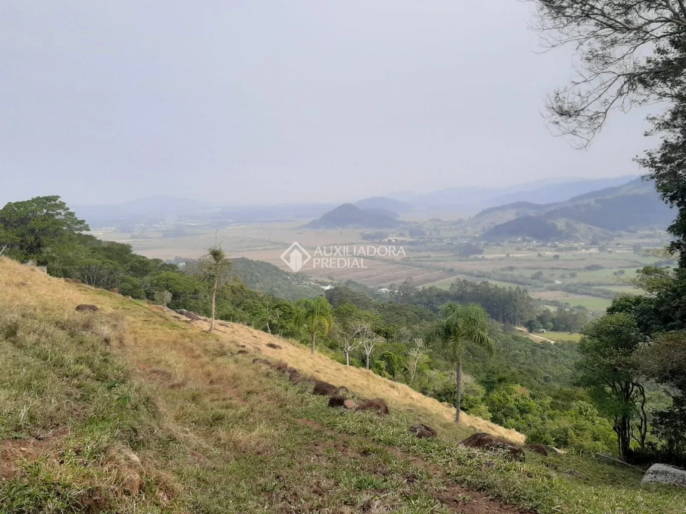 Imóvel - foto 1