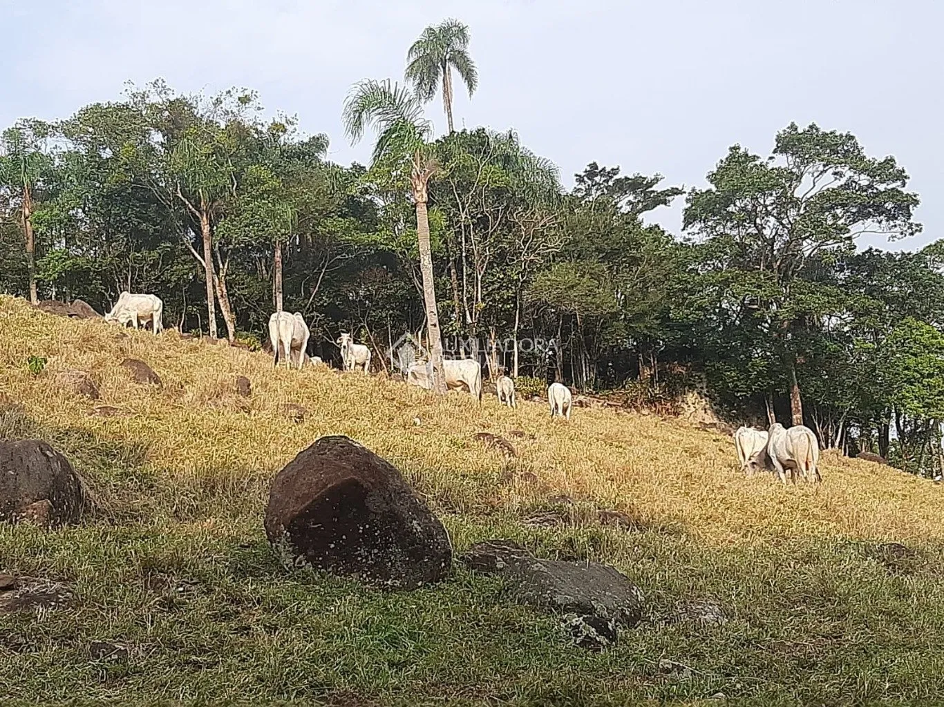 Imóvel — foto 6