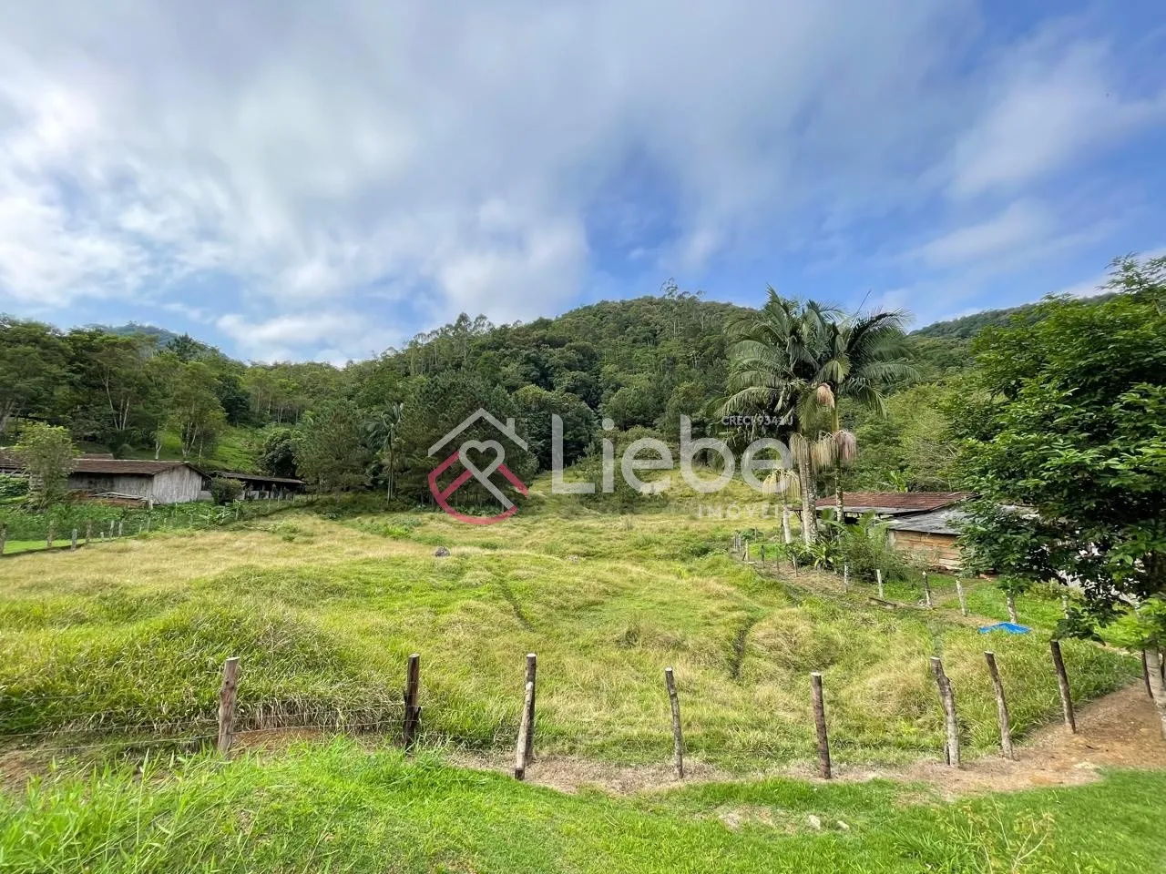 Lindo Sítio no Bairro Rega II na Cidade de Pomerode, edificado com duas casas mistas de 80m cada uma e terreno de 63.100,00m. - foto 1