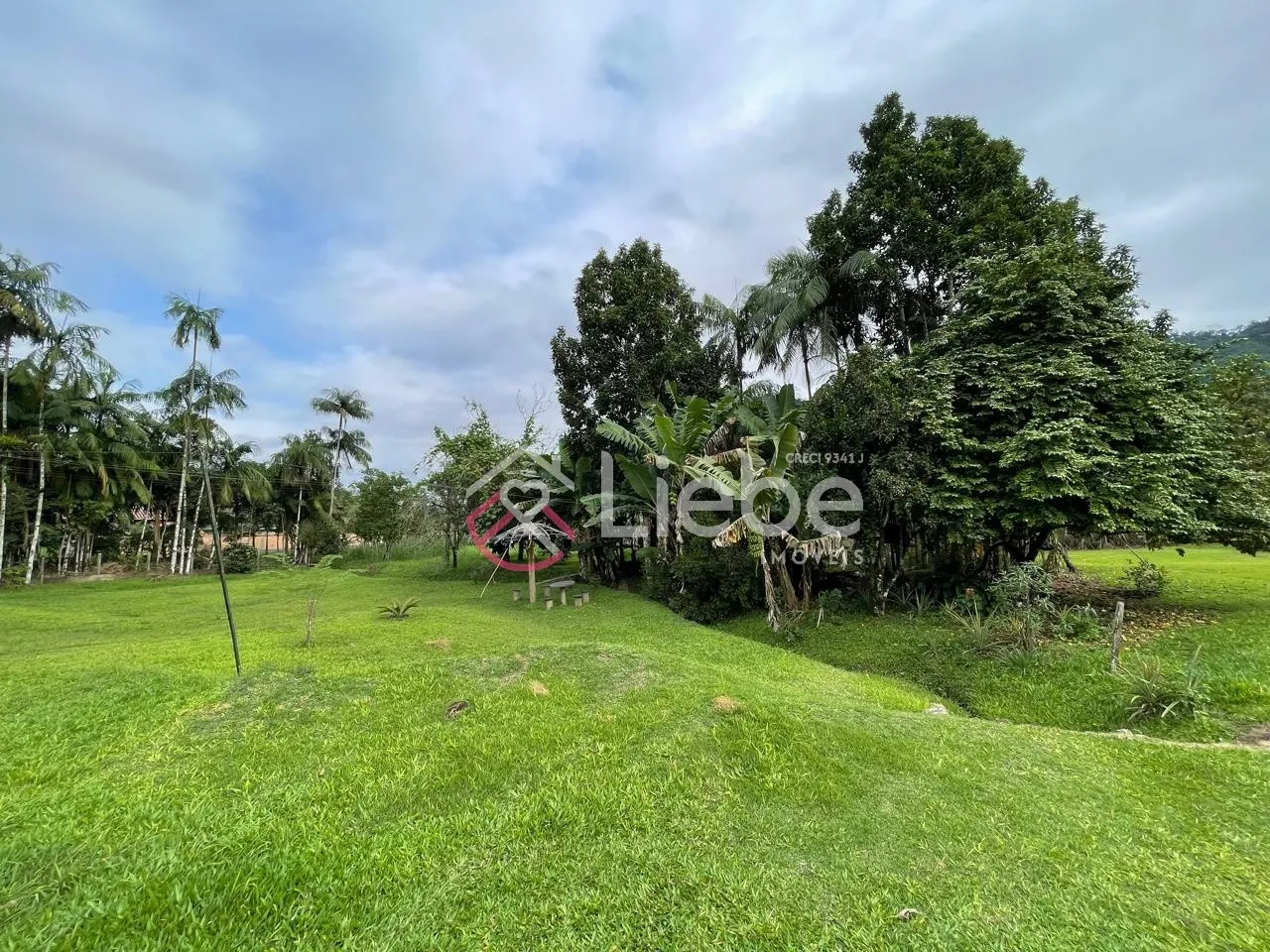 Lindo Sítio no Bairro Rega II na Cidade de Pomerode, edificado com duas casas mistas de 80m cada uma e terreno de 63.100,00m. — foto 2