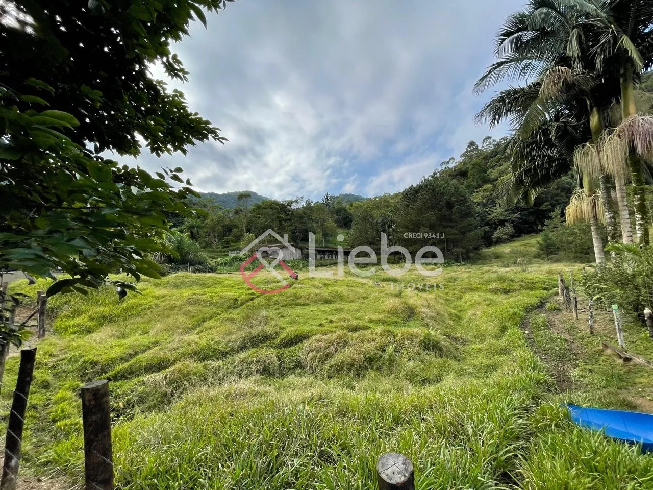 Lindo Sítio no Bairro Rega II na Cidade de Pomerode, edificado com duas casas mistas de 80m cada uma e terreno de 63.100,00m. — foto 7