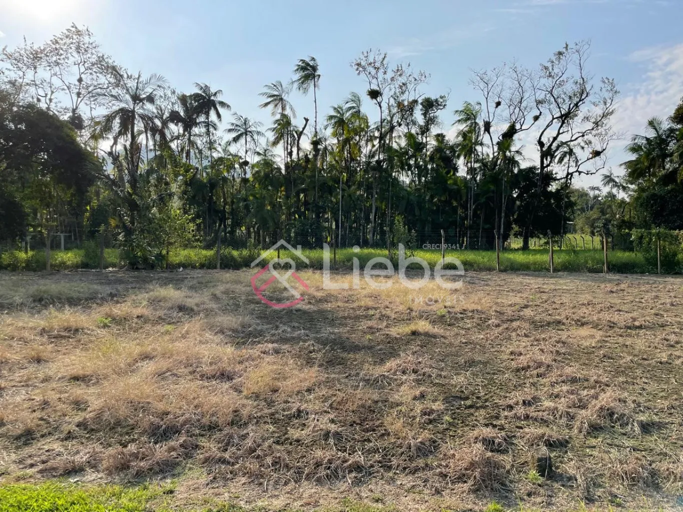 Lindo e Amplo Terreno na cidade de Pomerode no bairro Testo Rega com 1.165,40m. — foto 5